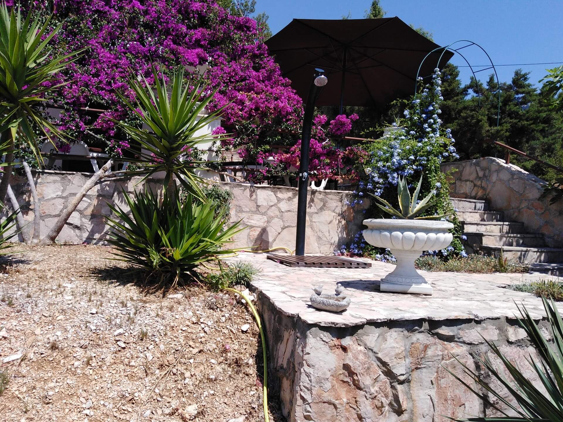 Apartment Ruža - Zavala, Hvar - Croatia