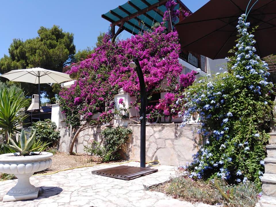 Apartment Ruža - Zavala, Hvar - Croatia